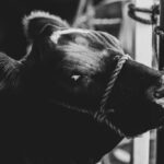 IMG_1324