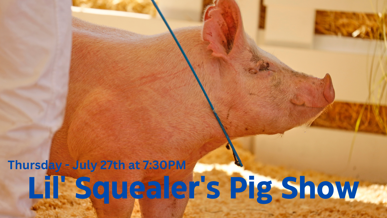 Lil' Squealer's Pig Show